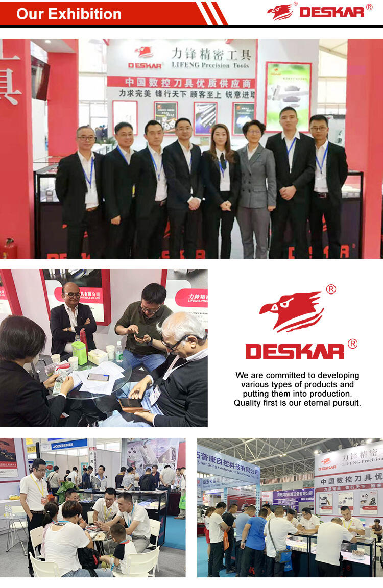 DESKAR 11 ER A 60 LDA Indexable Tungsten Carbide Threading Lathe Inserts for Threaded Lathe Holder details